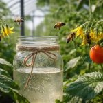 cum-sa-faceti-albinele-sa-lucreze-in-sera-pentru-cultura.png