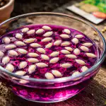 Manganul pentru semințe va fi cel mai bine păstrat secret pentru o recoltă abundentă în această primăvară manganul-pentru-seminte-va-fi-cel-mai-bine-pastrat-secret.png