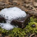 Săpunul de gudron va fi apărarea ta secretă împotriva căpușelor în această primăvară sapunul-de-gudron-va-fi-apararea-ta-secreta-impotriva-capuselor.png