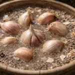 usturoiul-va-creste-de-marimea-pumnului-tau-datorita-unui-supliment.png