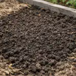 Salvatorul patului verde - cum să pregătești solul perfect înainte de plantarea răsadurilor salvatorul-patului-verde-cum-sa-pregatesti-solul-perfect-inainte.png