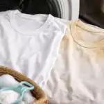 Spălarea fără efort și motivul pentru care tricoul dvs. preferat se îngălbenește înșelător spalarea-fara-efort-si-motivul-pentru-care-tricoul-dvs-preferat.png