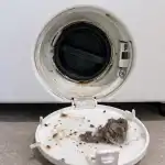 un-compartiment-secret-al-masinii-de-spalat-va-salva-aparatul.png